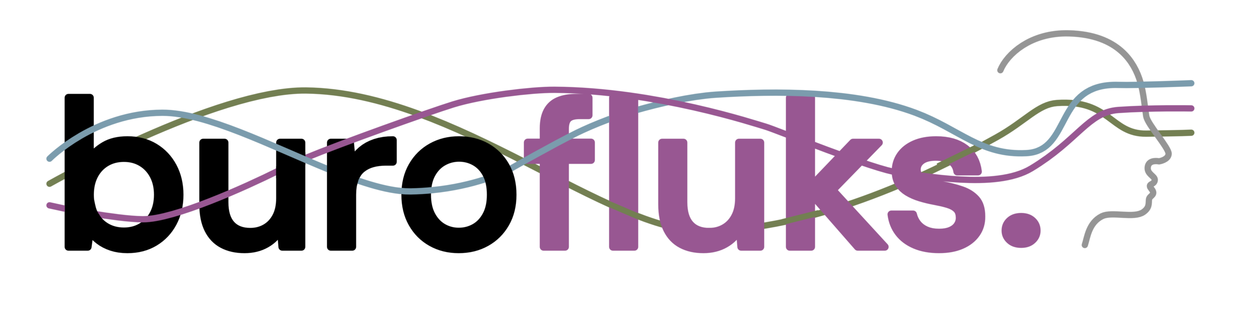 BuroFluks